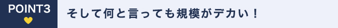 そして何と言っても規模がデカい！